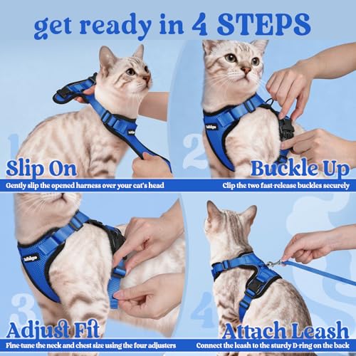 Cat Harness and Leash Set (Xs / Navy Blue)