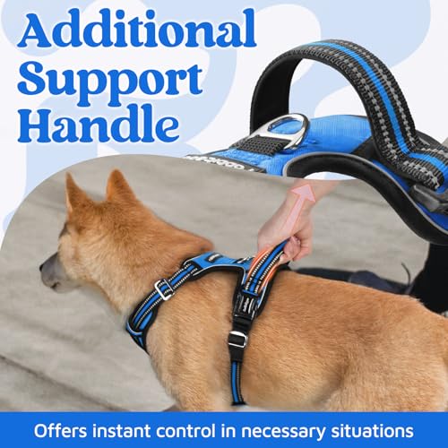Dog Harness Medium Sized (Blue / Medium)