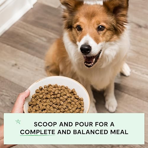 Grain Free Dry Dog Food (22 Pound (Pack of 1))