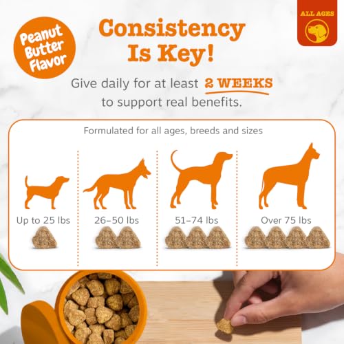 Dog Allergy Chews (90 Count (Pack of 1) - Standard)
