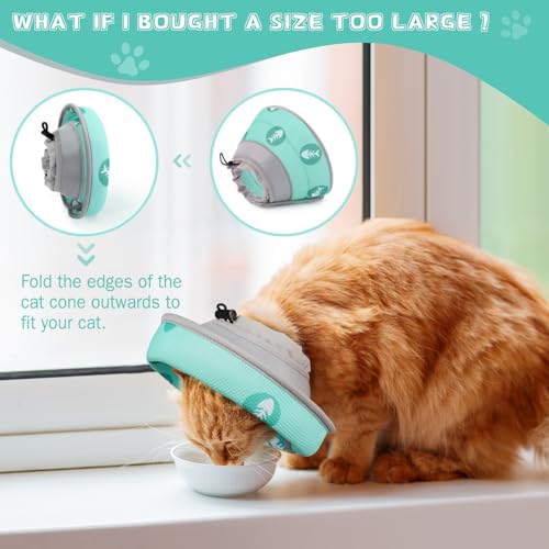 Cat Cone Collar Soft Elizabethan Collar for Surgery Recovery (Green / S (Neck 5"-7"))