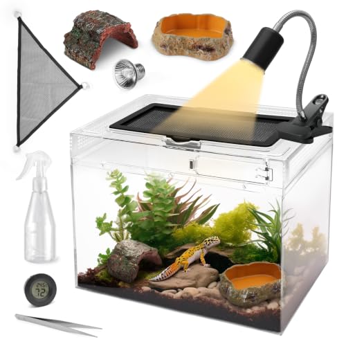 Reptile Tank Starter Kit (Large(15.6*10*8IN))
