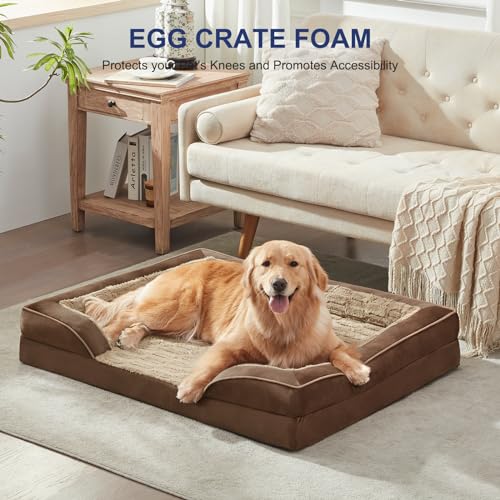 Orthopedic Medium Dog Bed (35.0''l x 25.0''w x 6.5''th / Brown)