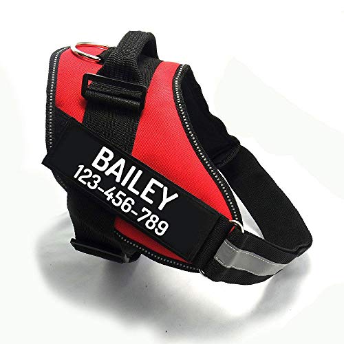 Custom No Pull Dog Harness with Name and Phone Number (S (10-19LBS) / Red)