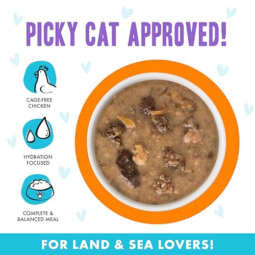 B.F.F. OMG Best Feline Friend Oh My Gravy! (2.8 Ounce (Pack of 12))