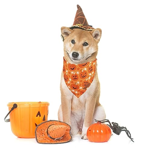 Halloween Dog Bandana (Large / Black & Orange)