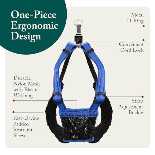 No Pull Dog Harness (Small / Blue)