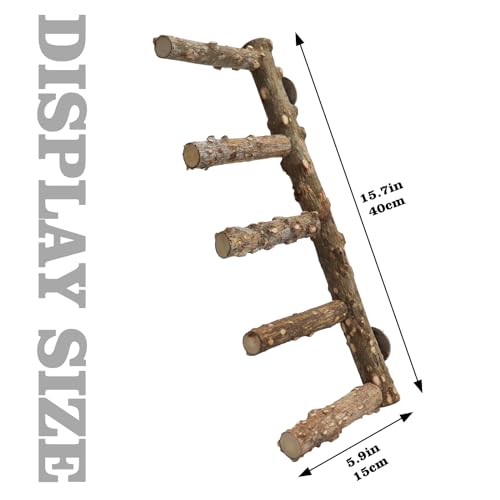 15.7 Inch Large Bird Perch Stand