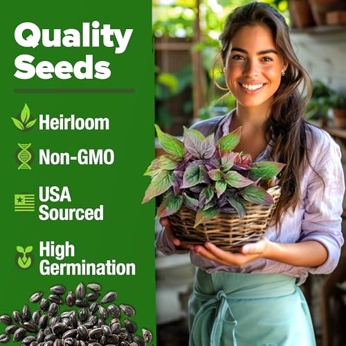 Thai Basil Seeds