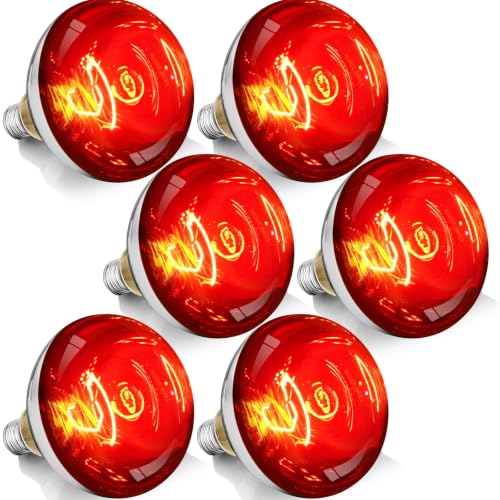 250W R40 Red Heat Lamp Bulbs (Red / 6 Pack)