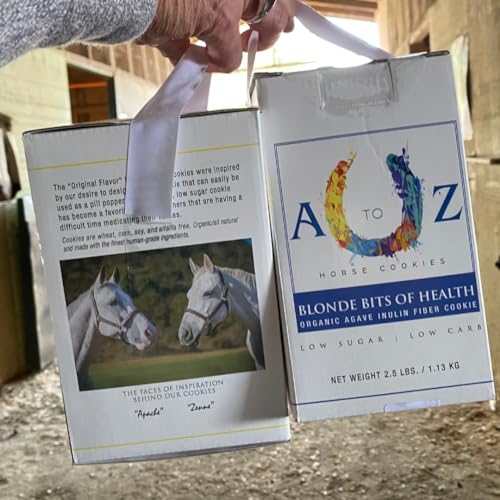 Horse Treats Blonde Bits of Health