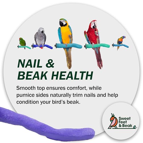 Safety Pumice Bird Perch (Green / Large 12")