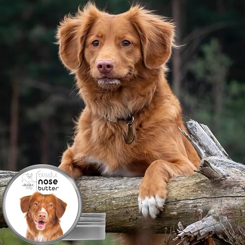Nova Scotia Duck Tolling Retriever Unscented Nose Butter (Nova Scotia Duck Tolling Retriever / 16 Ounce)