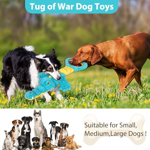 Dog Toys Cute Alligator Dog Toy Tough Plush Puppy Toy for Playtime (Blue02)
