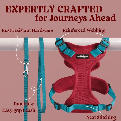 Cat Harness and Leash Set (Xxs / Red & Teal)