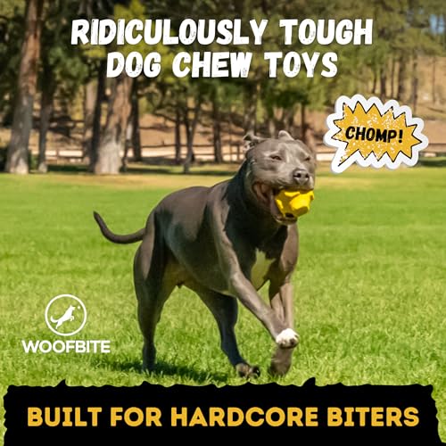 Indestructible Jumping Jack Chew Toy