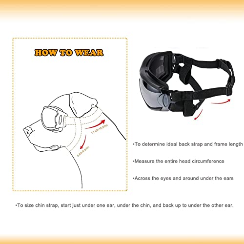 Dog Sunglasses