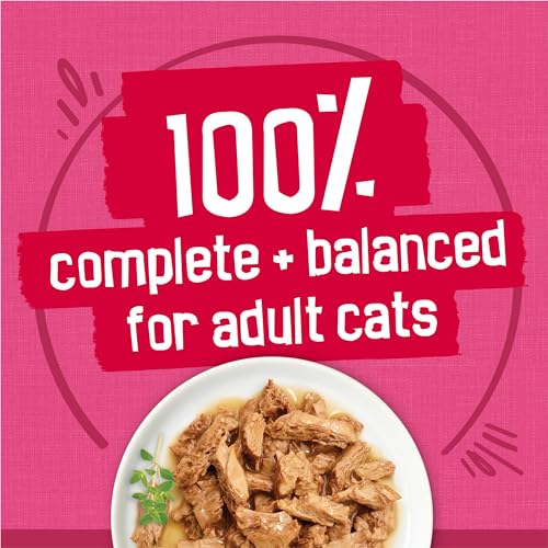 Purina Friskies Prime Filets Cat Food Variety Pack (5.5 Ounce (Pack of 40))
