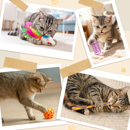 25 Pcs Cat Toys Set