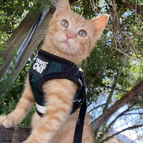 Travel Cat The Emerald Explorer Limited Edition Green Harness and Leash Set (X-Small / Emerald)