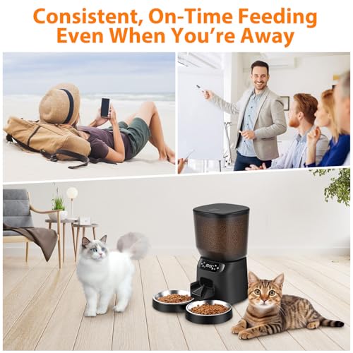 Automatic Cat Feeders for Two Cats (Black / Manual)