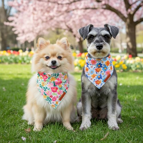 Flower Dog Bandanas Girl Boy (Small / Floral)