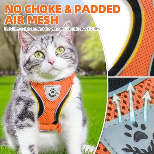 Cat Harness and Leash Set Escape Proof Reflective Cat Walking Harness Adjustable Soft Breathable Mesh Vest for Small Pets (M (NECK 11"-13.7", CHEST 16"-20") / Orange)