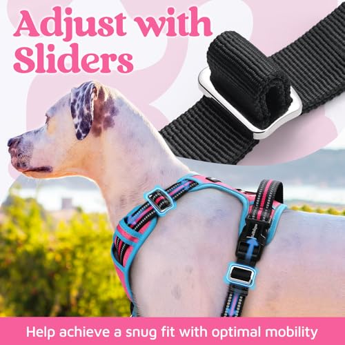 Dog Harness Small Sized (Pink & Blue / Small)