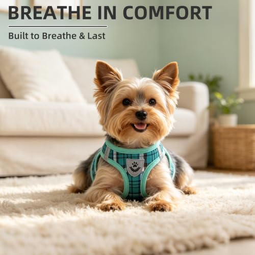 Dog Harness Collar and Leash Set No Pull for Small Medium Sized (Lake Green / XL (CHEST 20"-22"))