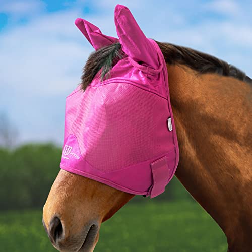 UV Proof Multi (magenta / X-Large (Warmblood))