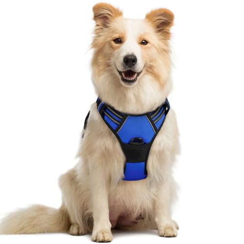 Dog Harness No Pull Medium Sized with 2 Leash Clips (Medium / Dazzling Blue)