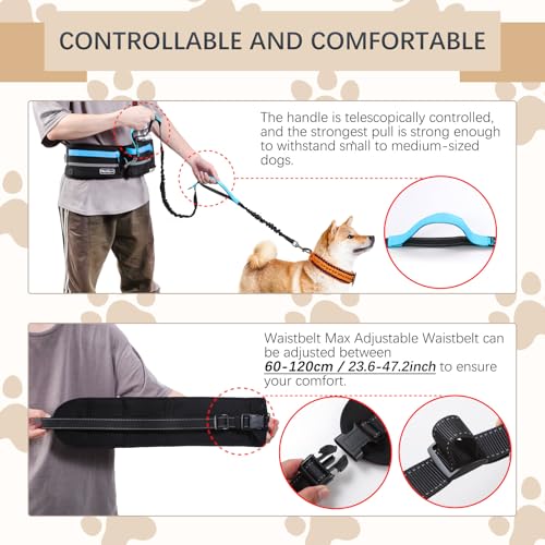 Hands Free Waist Leash with Pouch for Two Dogs (Blue)