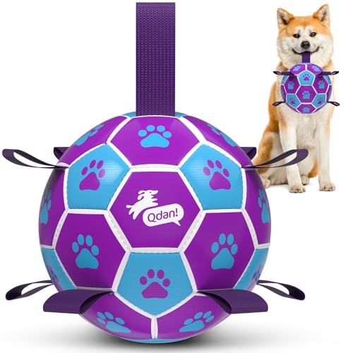 Dog Ropes Toys (Purple-Blue / Medium Size 2 (6 Inch))
