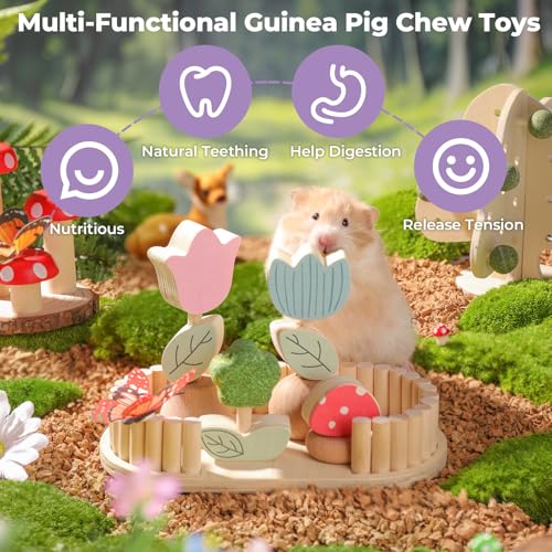 Hamster Chew Toys for Teeth