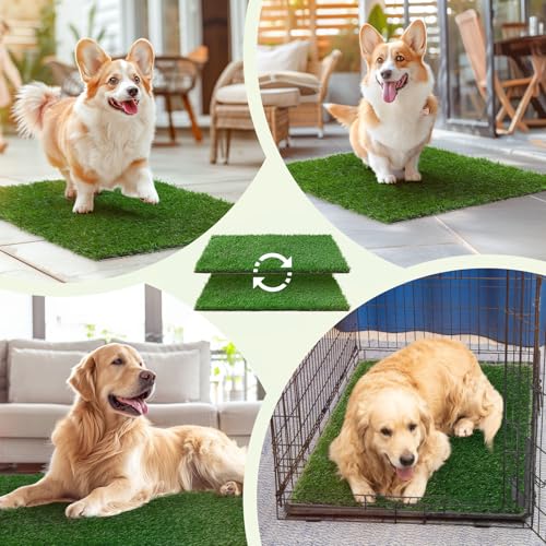 Dog Grass Pee Pads (18*28 inch)