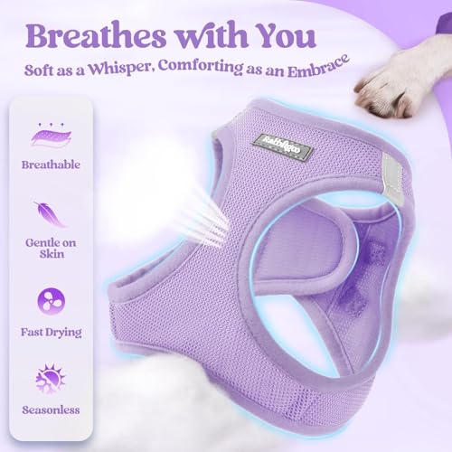 Dog Harness Small Sized and Leash Set (Light Purple / Xxs (chest: 12.4 - 14.2"))