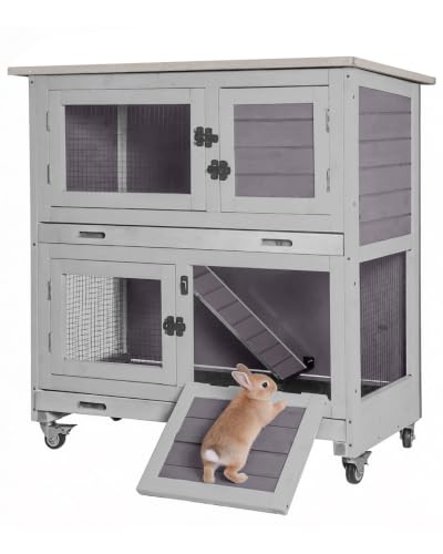 2 Story Rabbit Hutch for 1 (Gray / 32.5"L x 15.4"W x 35.4"H)