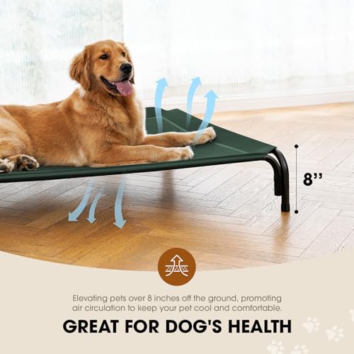 Outdoor Elevated Dog Bed for Large Sized Dogs (L(43.30"x31.90"x8.00") / Green)