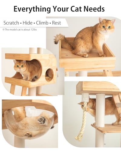 61.8" Wood Cat Tree Tower for Large Cats (Nature SP160)