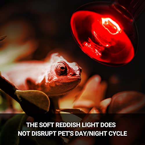 75W Reptile Heat Lamp Bulb (Day & Night Heat Lamp)