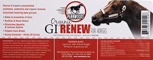 GI Renew Probiotics for Equine (5 lb)