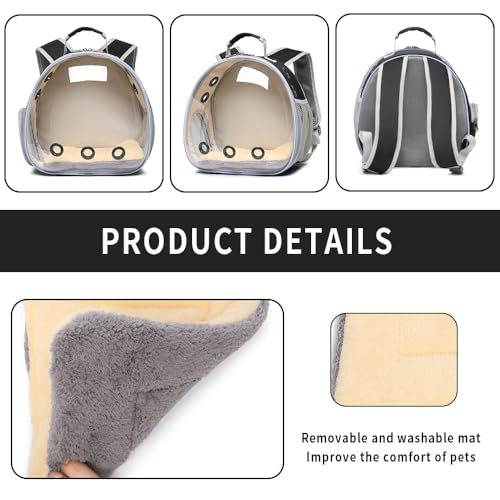 Bunny Carrier (black)