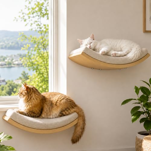 Cat Wall Shelf with Curved Hammock Bed (1 Curved Bed (Foam Mat) / Normal)