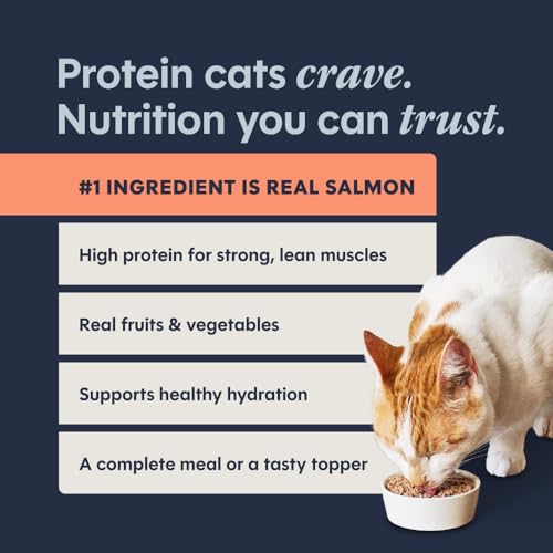 Original Pate Wet Cat Food (3 Ounce (Pack of 24))