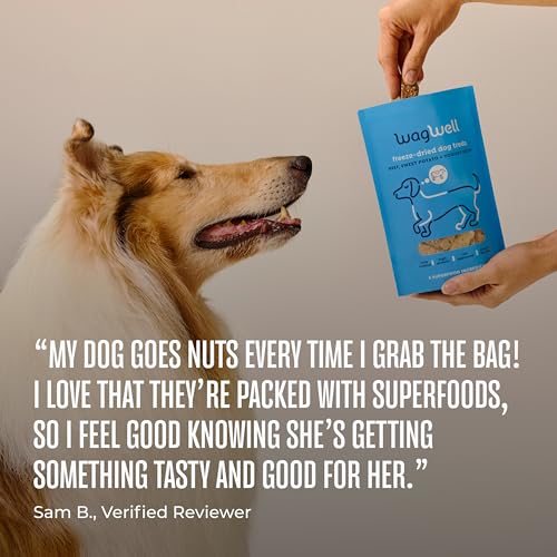 Freeze Dried Dog Treats (4 Ounce (Pack of 1))