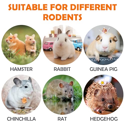 Timothy Hay Treats Rabbit Toys Bunny Guinea Pig Hamster Natural Chews for Teeth Handmade Rabbit Chews and Treats Chinchilla Rat Gerbil