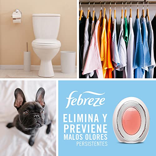 Small Spaces Air Freshener (1 Count (Pack of 1))