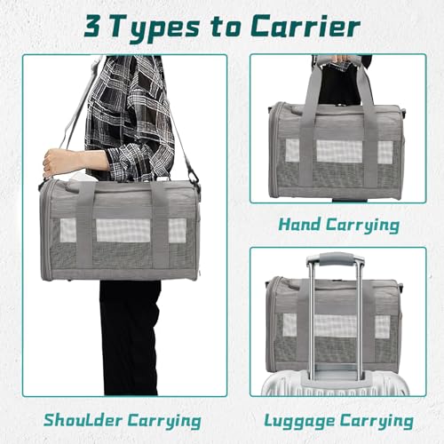 Small Pet Carrier (Gray)
