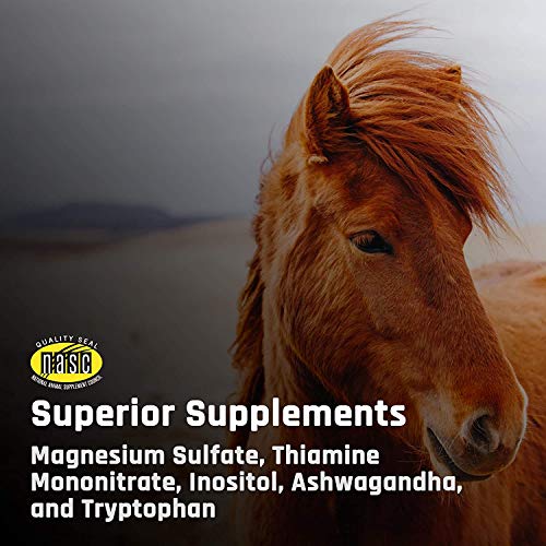 KALM+ Wafers Horse (120 Count (4 Month Supply))
