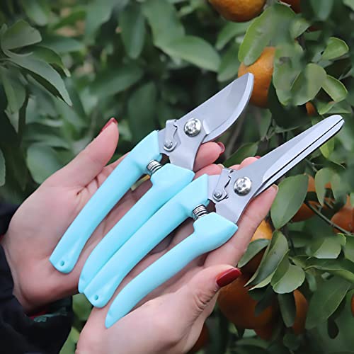 Premium 2PCS Pruners (Blue)